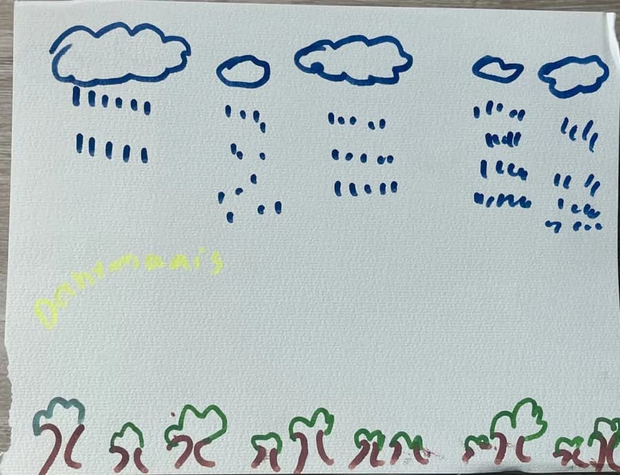 Rain over the trees, Danymari